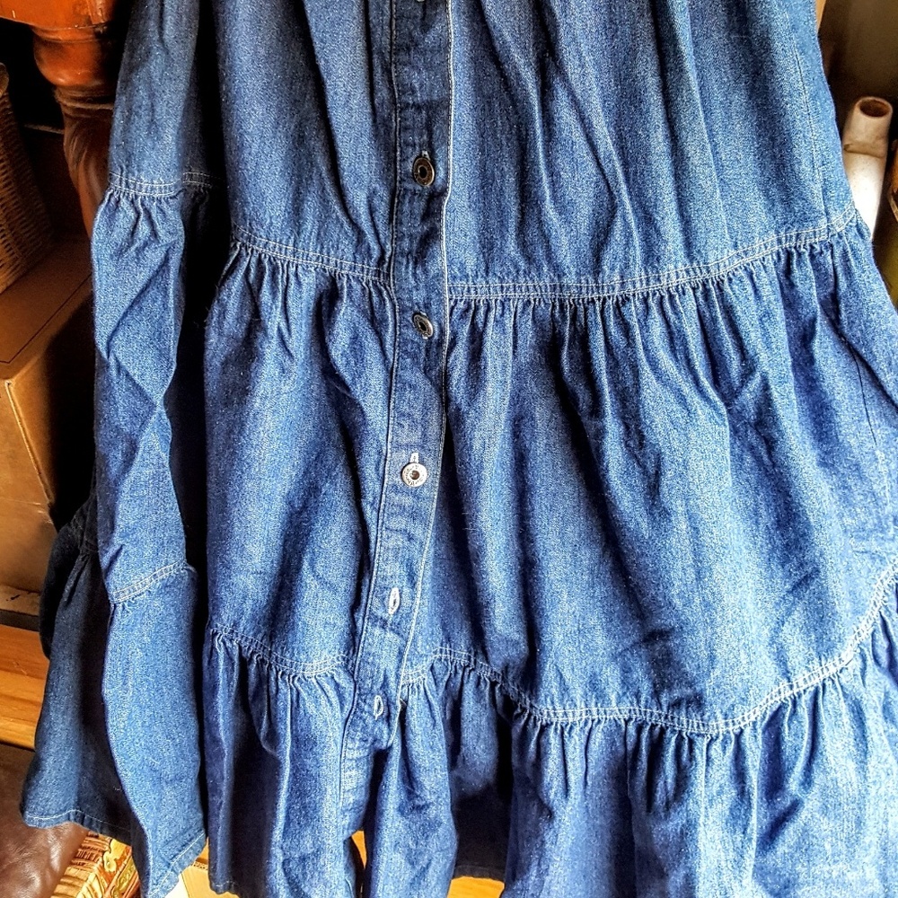 Button front Tiered Denim Skirt
